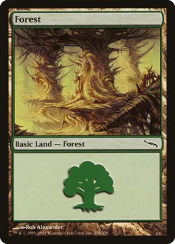 Forest