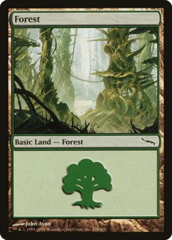 Forest