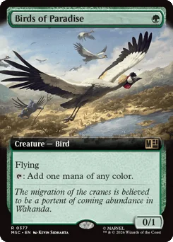 Birds of Paradise