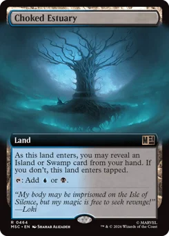 Choked Estuary