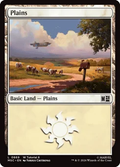 Plains