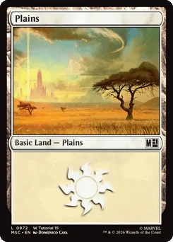 Plains