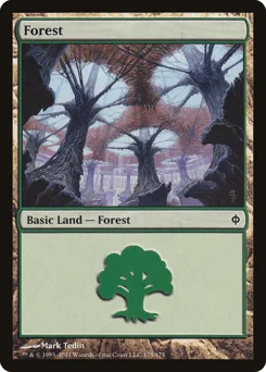 Forest