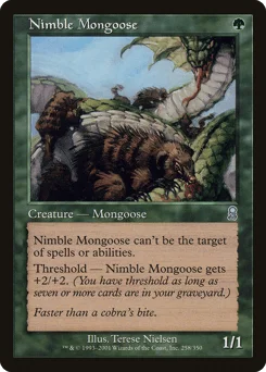 Nimble Mongoose