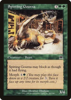 Spitting Gourna