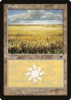 Plains