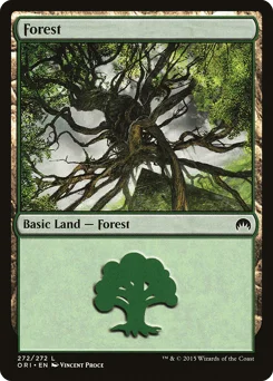 Forest