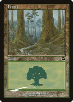 Forest
