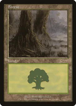 Forest
