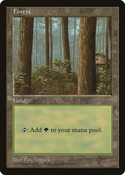 Forest