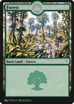 Forest