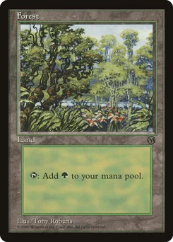 Forest