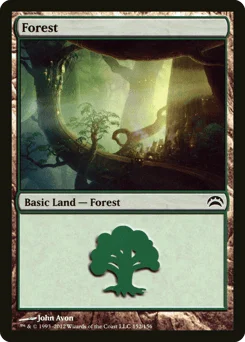 Forest