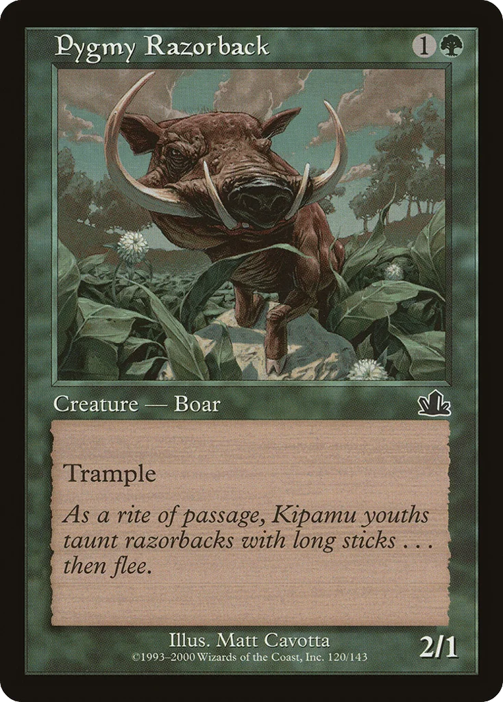 Pygmy Razorback · Prophecy
