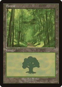 Forest