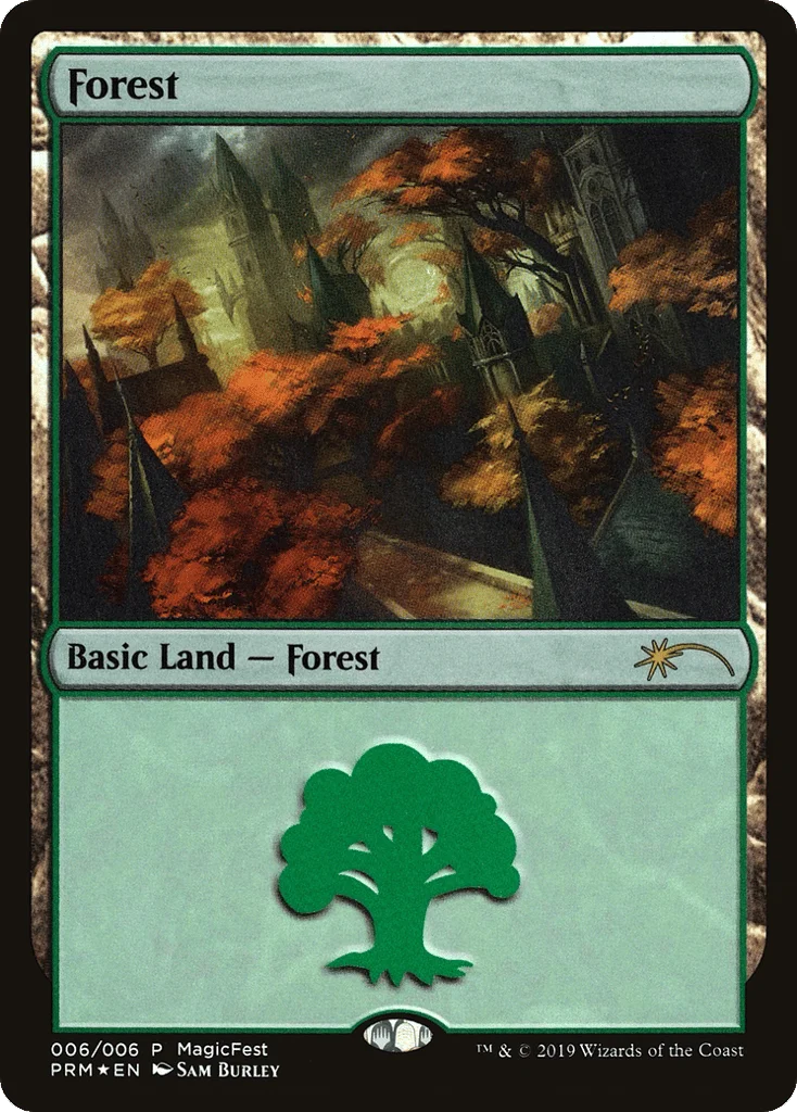 Forest · MagicFest 2019