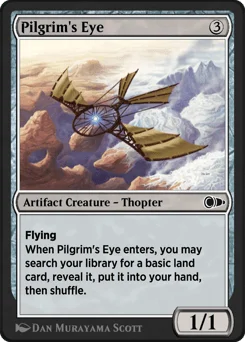 Pilgrim's Eye