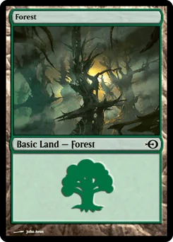 Forest