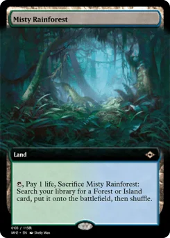 Misty Rainforest