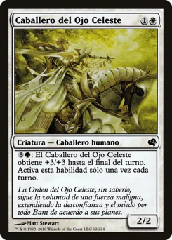 Knight of the Skyward Eye