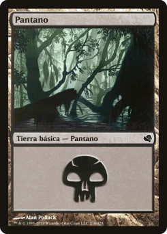 Swamp