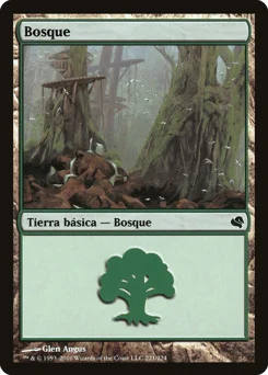 Forest
