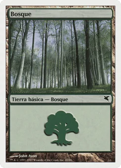 Forest
