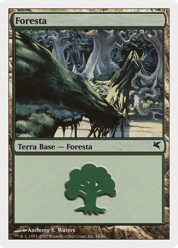 Forest · Salvat 2005