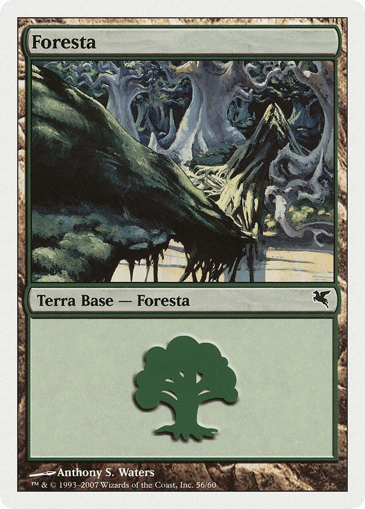 Forest · Salvat 2005
