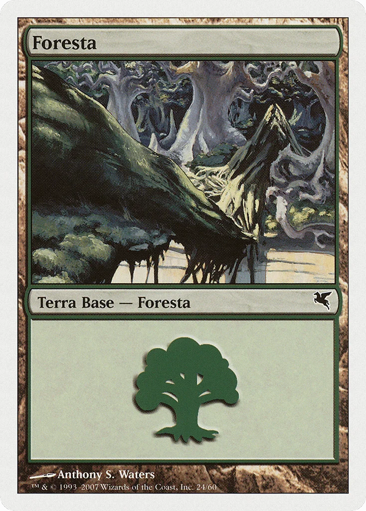 Forest · Salvat 2005