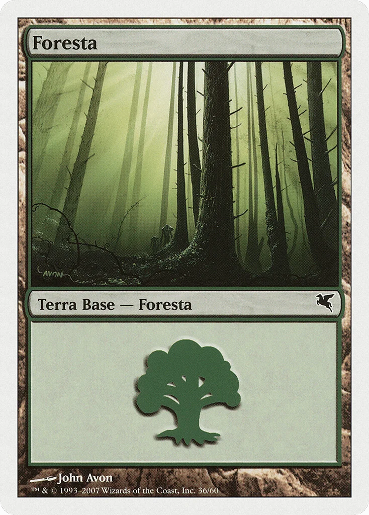 Forest · Salvat 2005