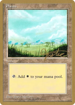 Plains