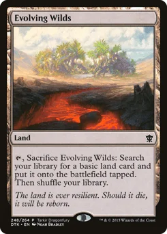 Evolving Wilds