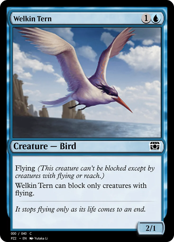 Welkin Tern · Treasure Chest
