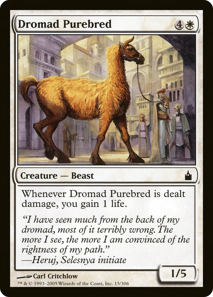 Dromad Purebred · Ravnica: City of Guilds