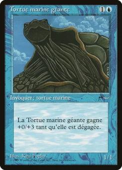 Giant Tortoise