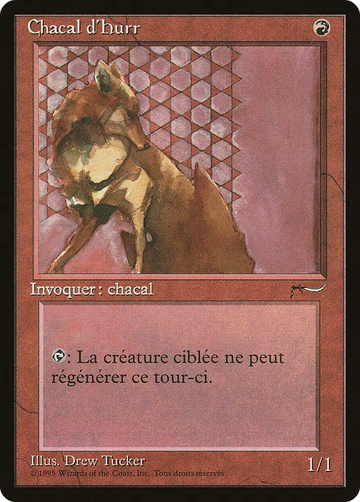 Hurr Jackal · Renaissance