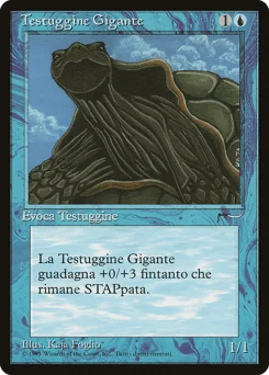 Giant Tortoise