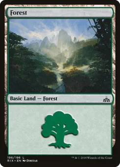 Forest