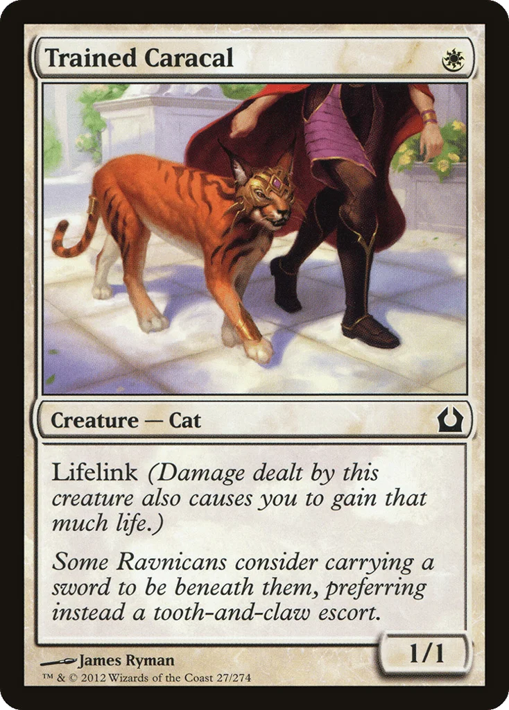 Trained Caracal · Return to Ravnica