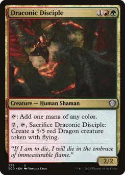 Draconic Disciple