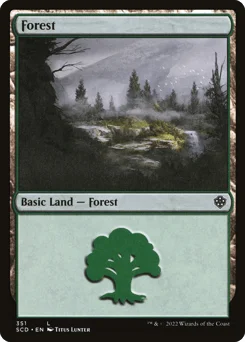 Forest