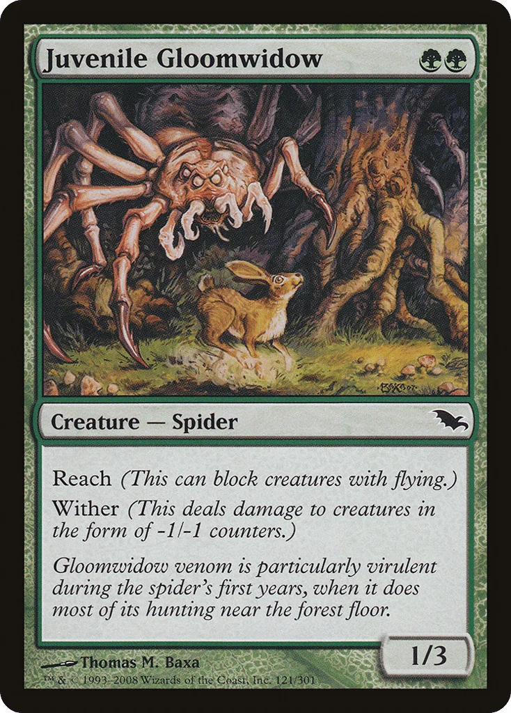 Juvenile Gloomwidow · Shadowmoor