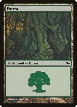 Forest