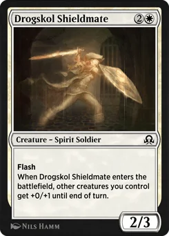 Drogskol Shieldmate