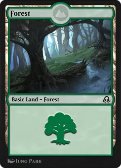 Forest