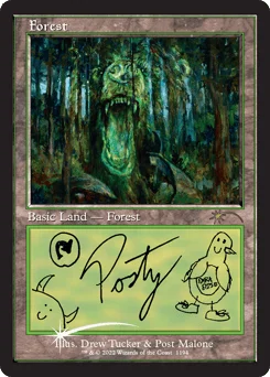 Forest
