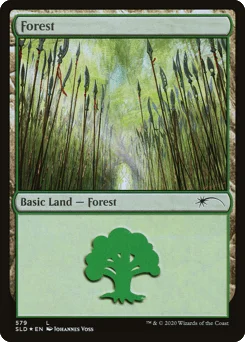 Forest