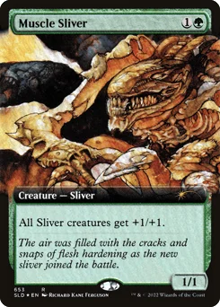 Muscle Sliver