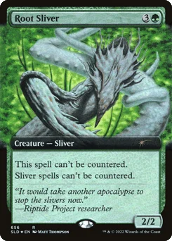 Root Sliver